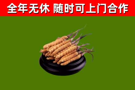 梅江烟酒回收冬虫夏草.jpg